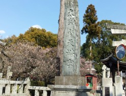 wpid-20160303_150307.jpg